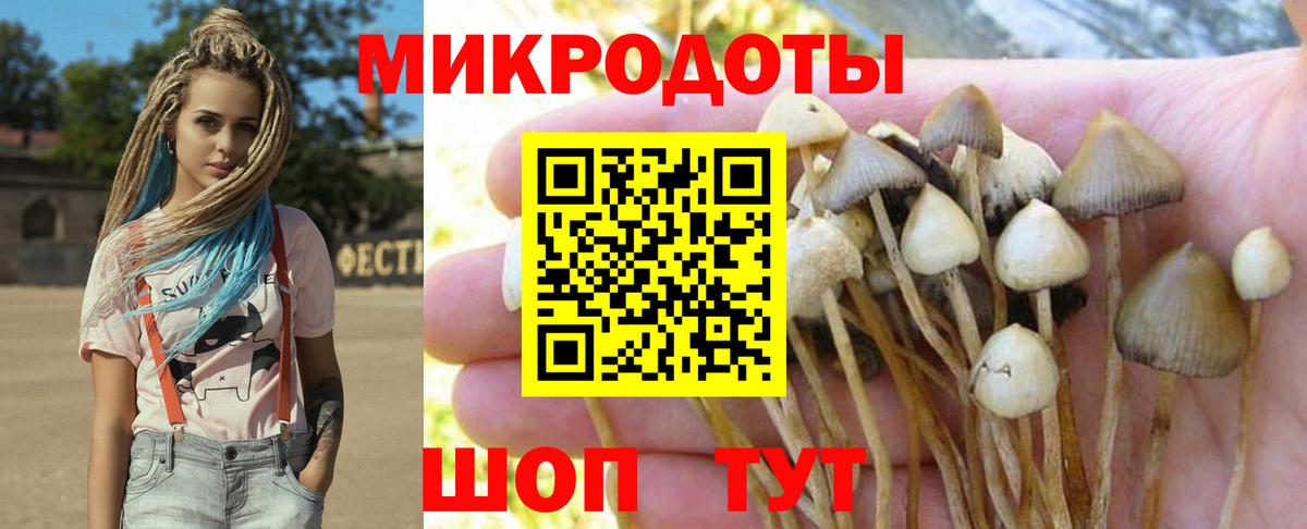 Кудымкар  Псилоцибиновые грибы Cubensis  Псилоцибиновые грибы Psilocybe  Вход с VPN 